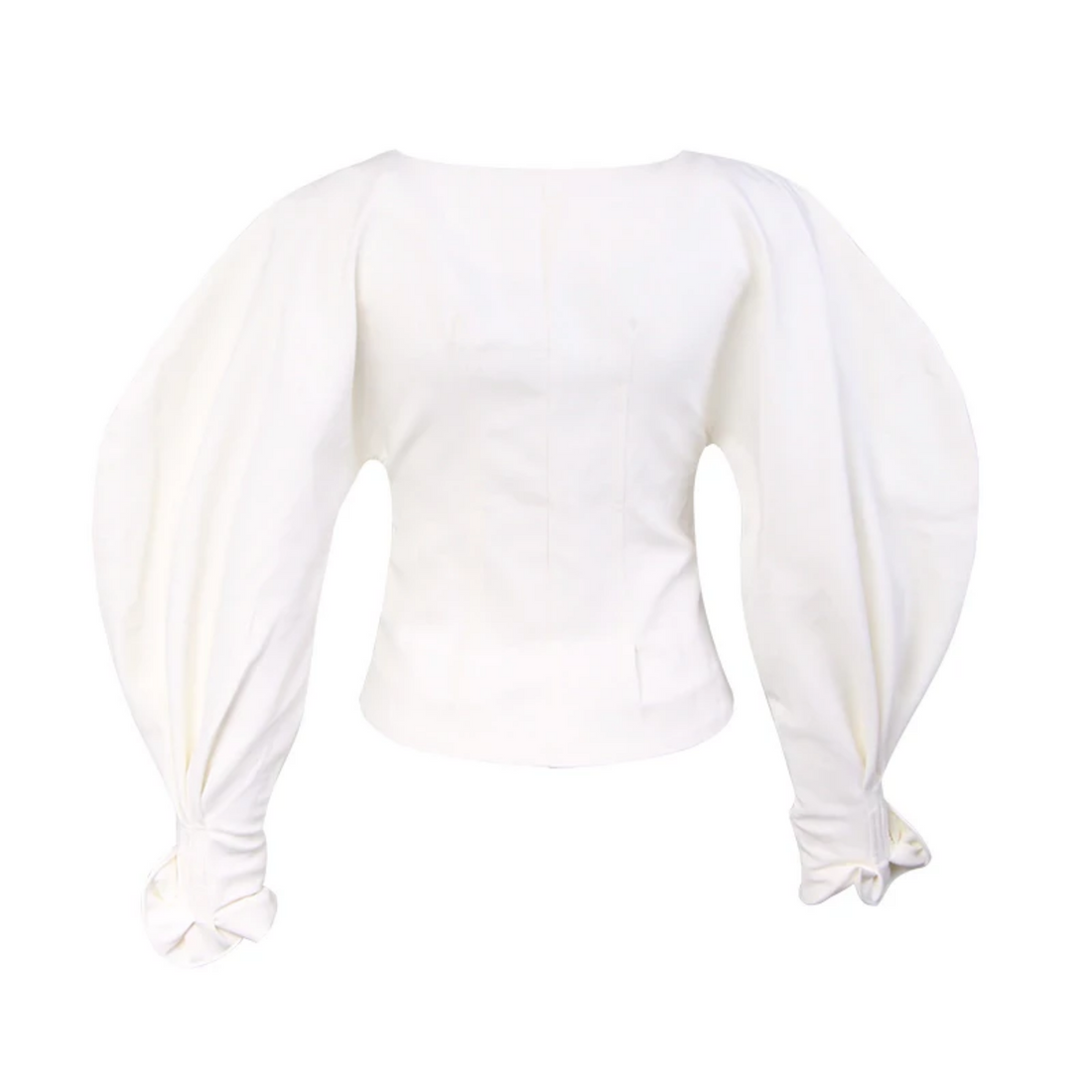Women's Polyester V-Neck Lantern-Sleeved Slim Blouse