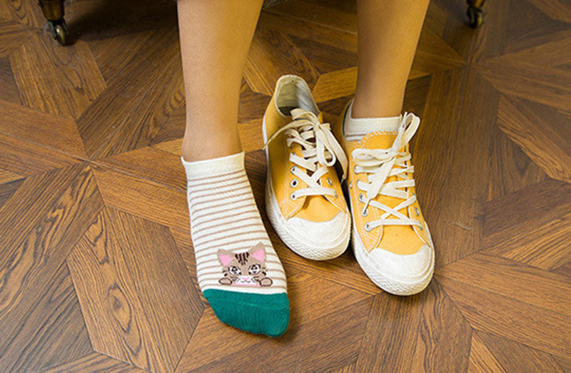 Women's Cotton Soft Socks | 5 Pairs Set