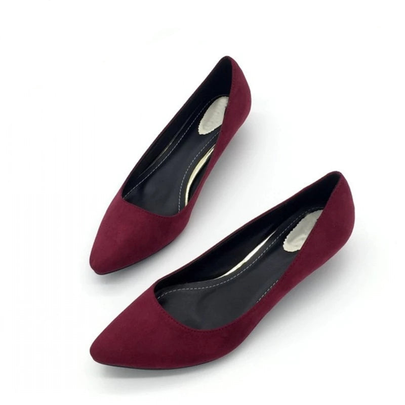 Women's Spring/Autumn Casual Low Heels Pumps