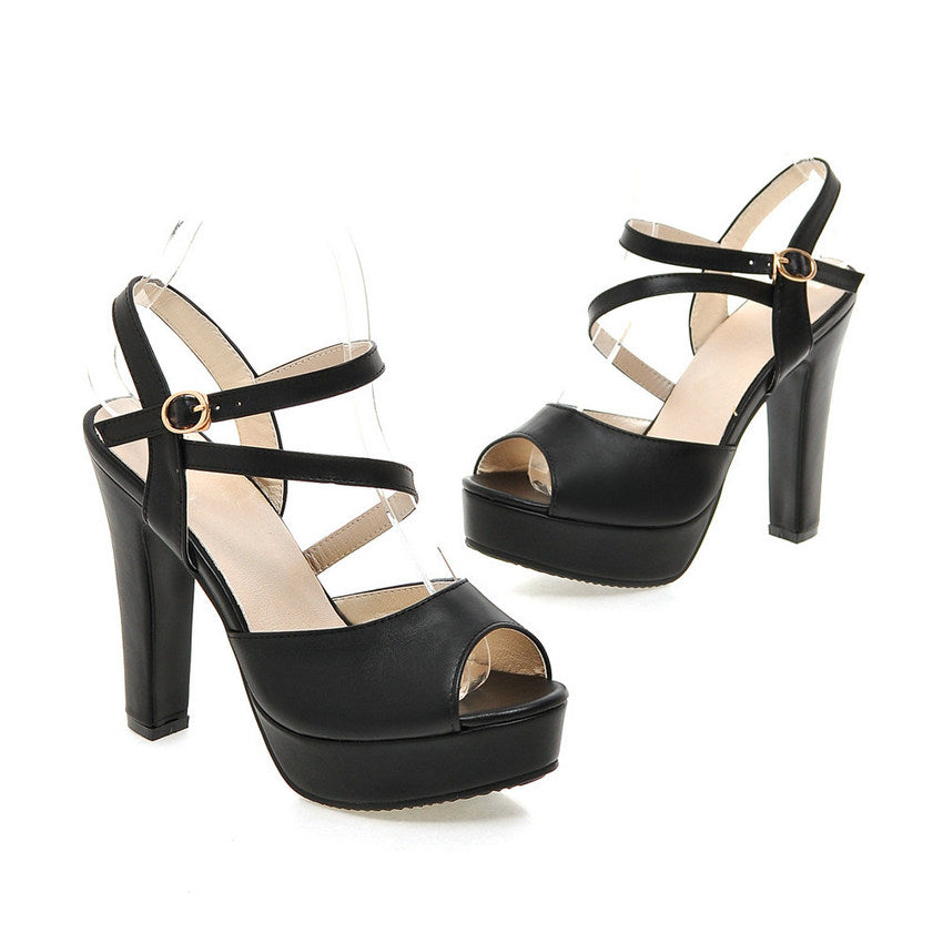 Women's Spring/Autumn Casual Sandals With Square High Heels