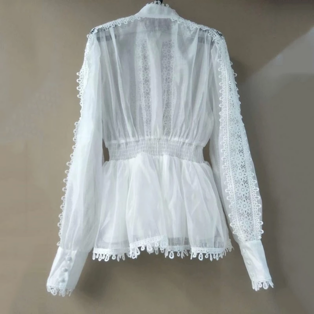 Women's Spring Polyester Lace Long-Sleeved Blouse