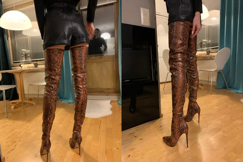 Women's High Boots With Thin Heels & Pointed Toe