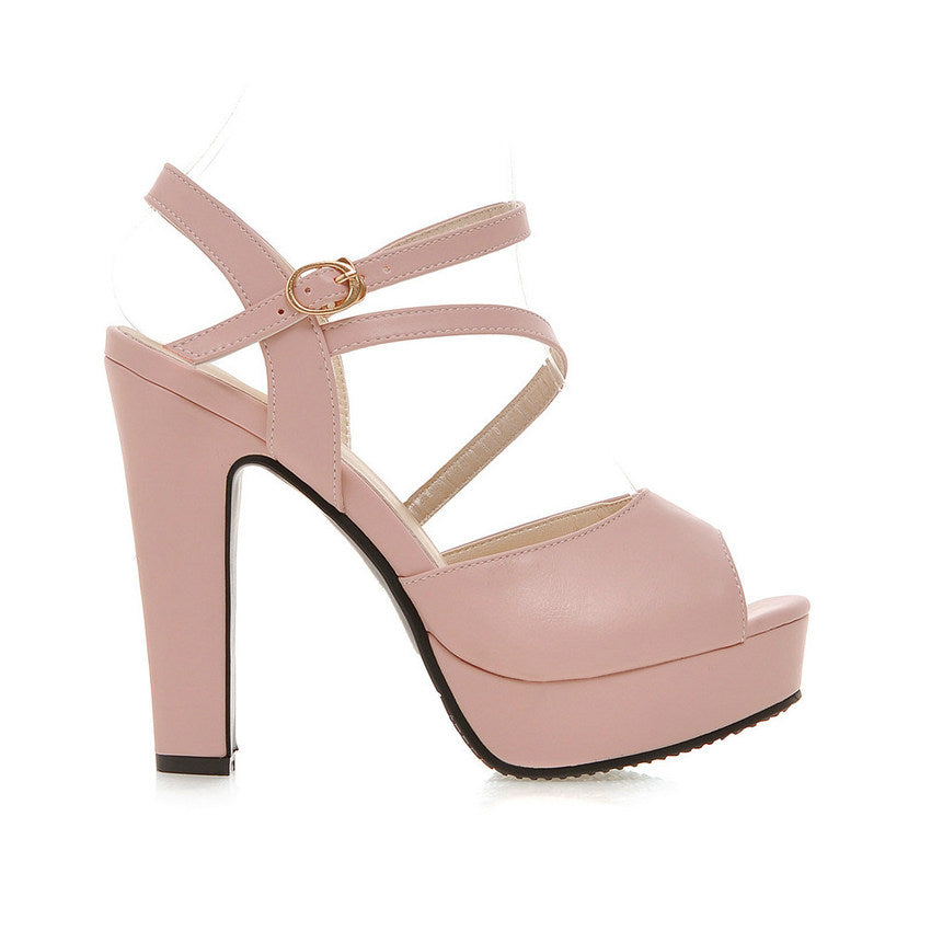 Women's Spring/Autumn Casual Sandals With Square High Heels