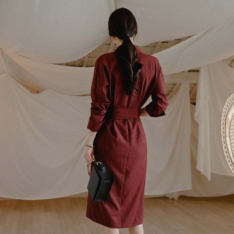 Women's Spring Polyester Long-Sleeved V-Neck Dress With Sashes