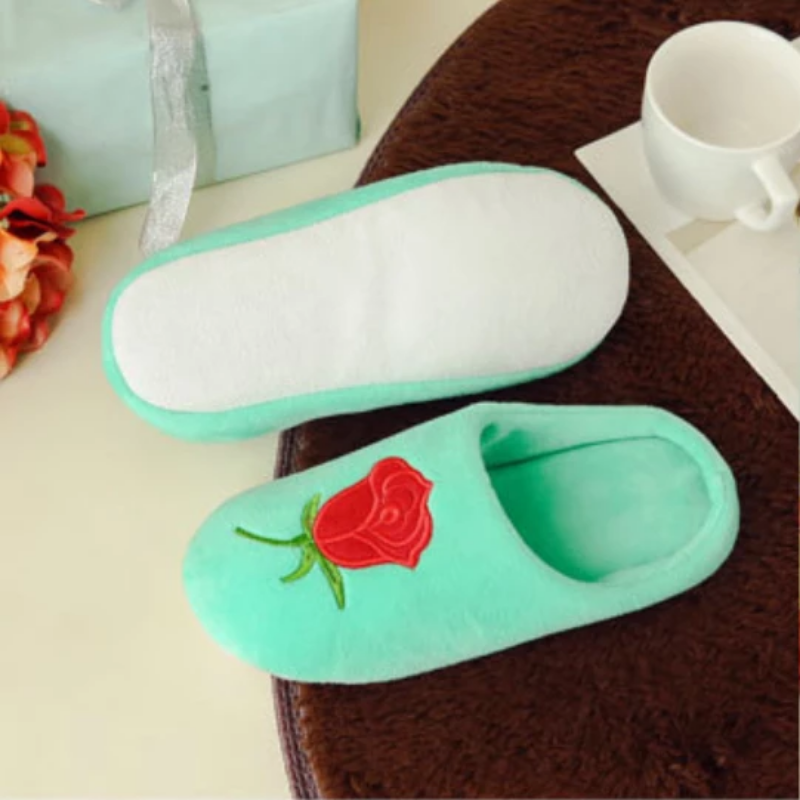 Women's Spring/Autumn Plush Embroidered Home Slippers